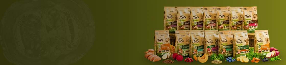 Nattu